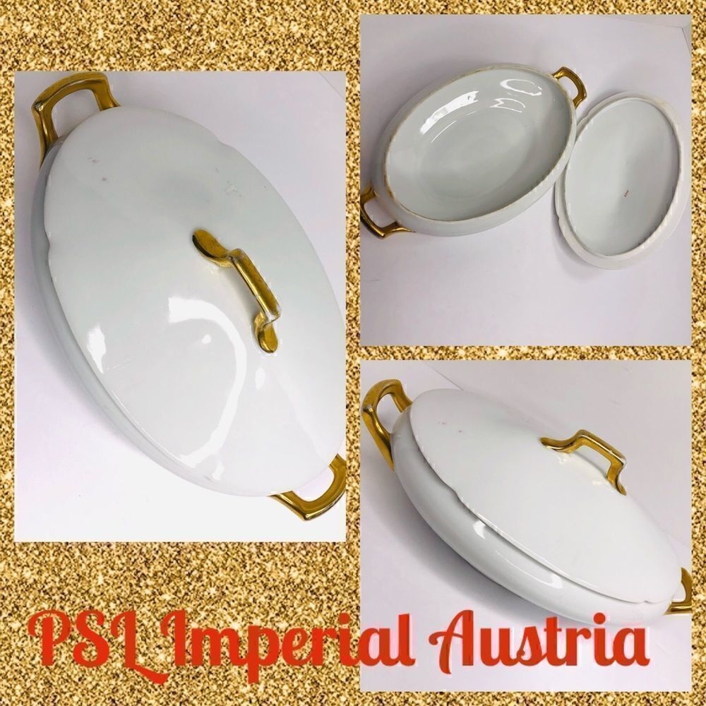 Vintage PSL Imperial Austria Porcelain Soup Tureen With Lid – Gold Trim, Oval Se